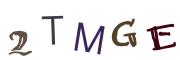 圖片的 CAPTCHA